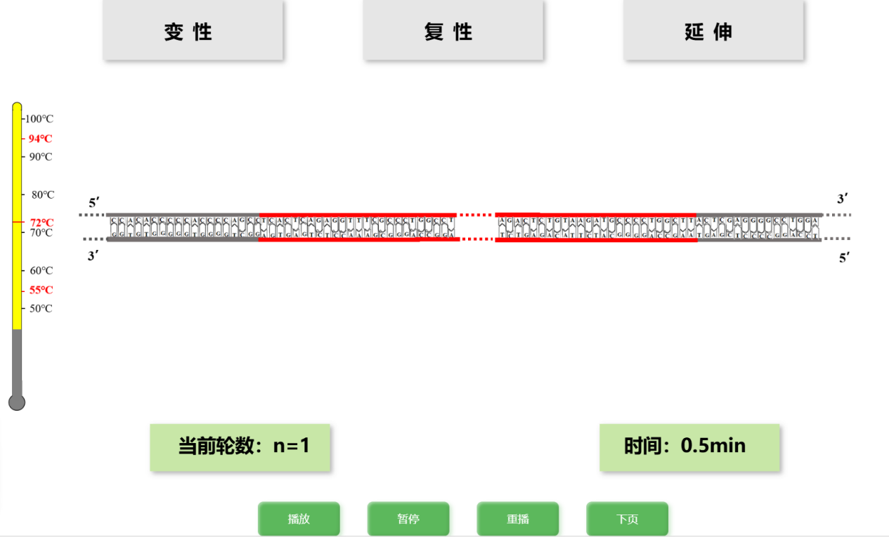 PCR的影响因素探究虚拟仿真教学资源 - 高二 - 华中师范大学教学资源平台